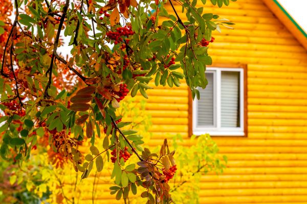 Garden Window Replacement in Colorado Springs